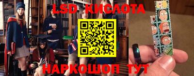 spice Кандалакша