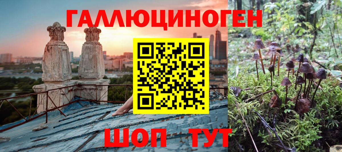 Галлюциногенные грибы Magic Shrooms Кызыл