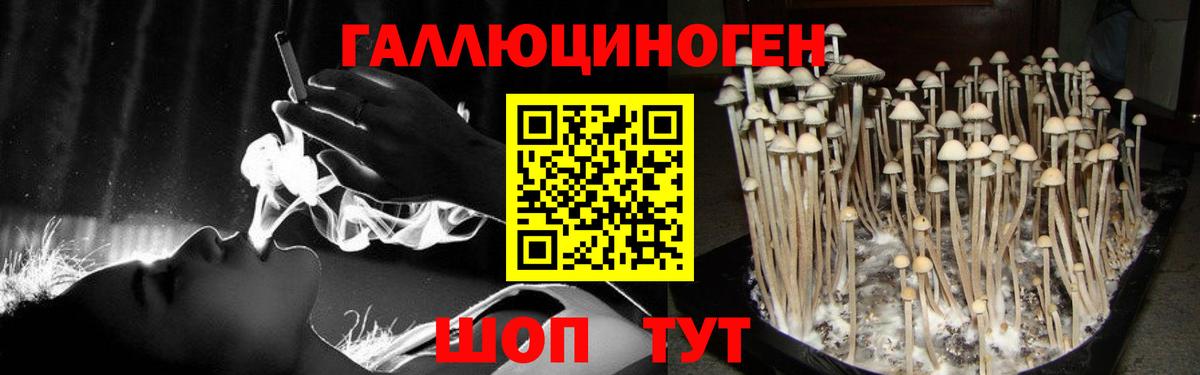Галлюциногенные грибы прущие грибы  Вход с VPN  купить   Псилоцибиновые грибы мицелий  Кызыл 